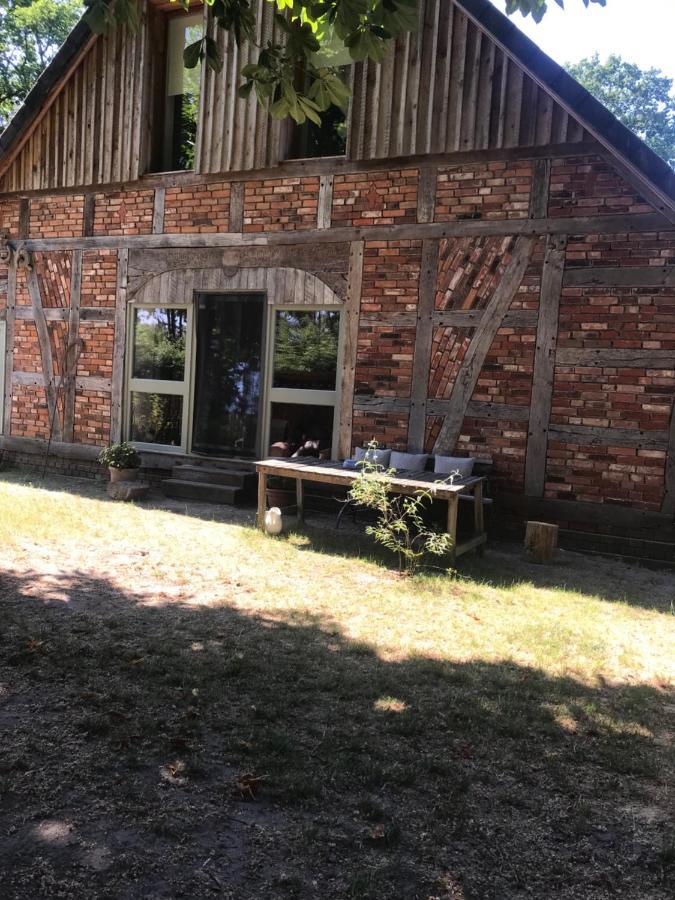 Gemuetliche Ferienwohnung An Der Elbe Bleckede Exteriér fotografie