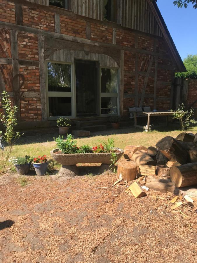 Gemuetliche Ferienwohnung An Der Elbe Bleckede Exteriér fotografie